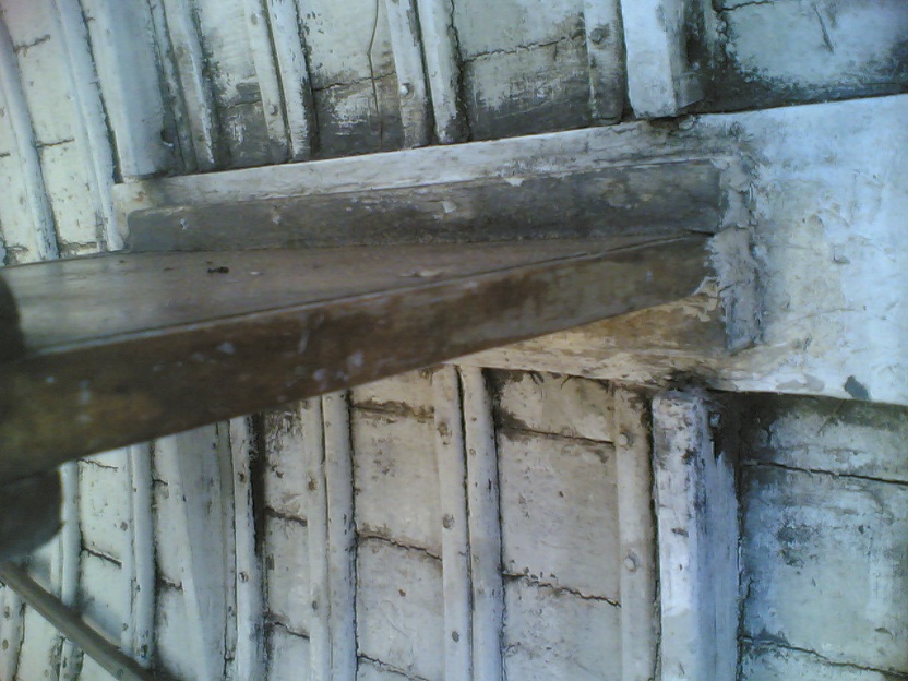 [Immagine: 201264225343_chiglia 07.jpg]